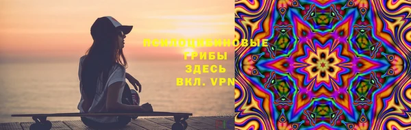 PSILOCYBIN Беломорск